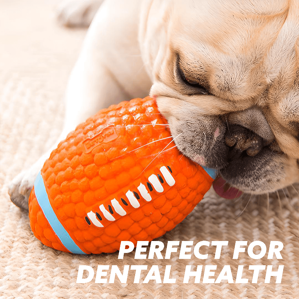 best chew toys for dental health