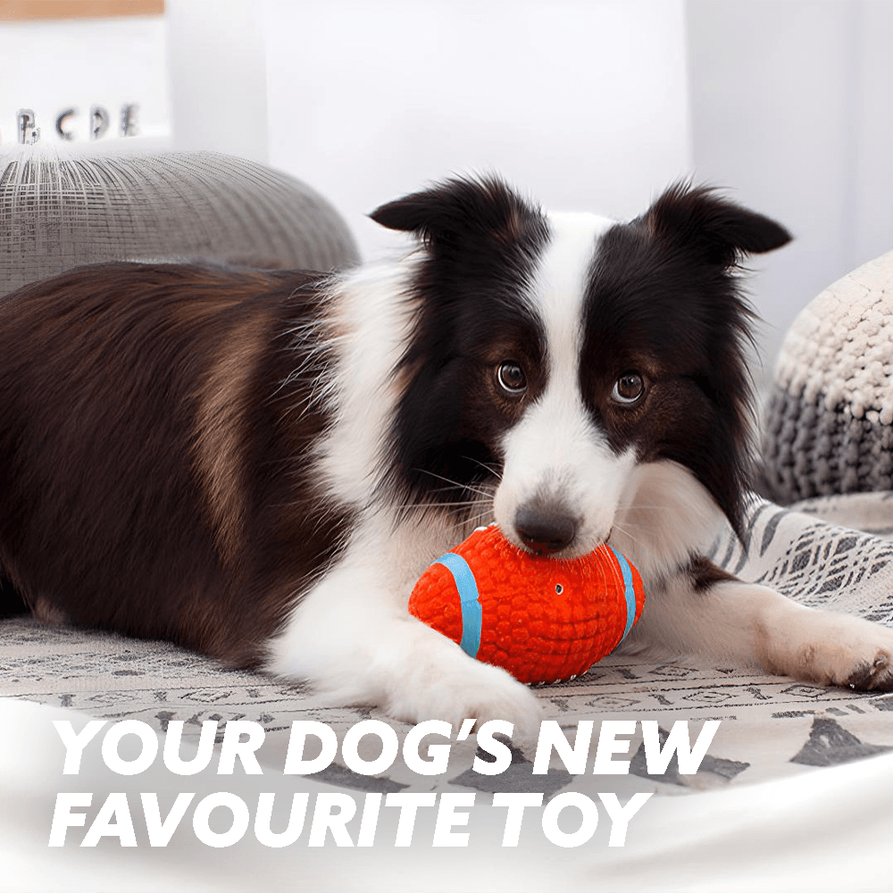 Dog toys for chewers