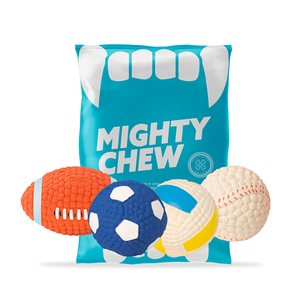 Different types of Chew ball for Dogs