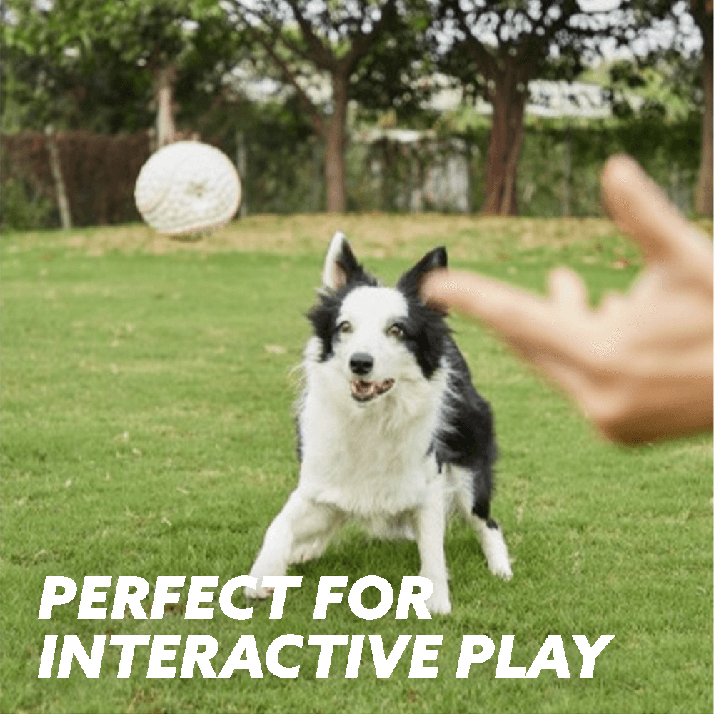 Interactive play toy for Dogs